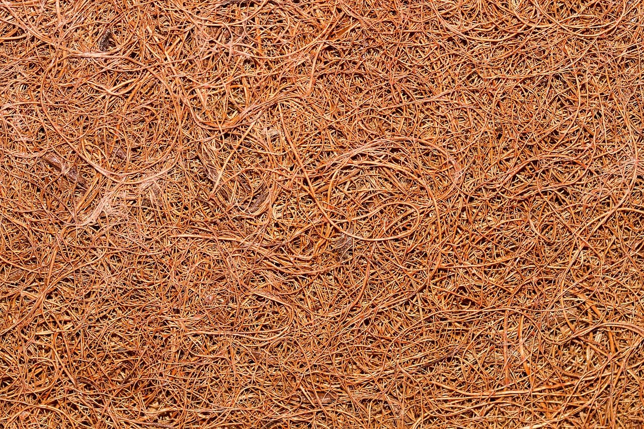 coir, jute, texture